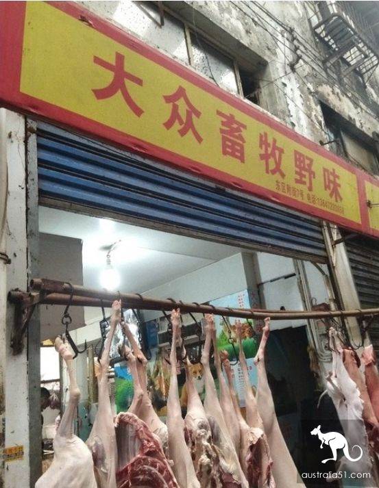 武汉华南海鲜市场罕见照片！