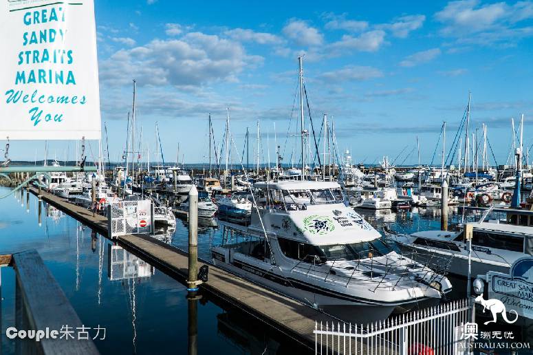 Brisbane set out, Huve Bay whale-watching practical paste