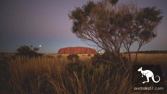 Australia's Heart, the ElsRock Travel Manual