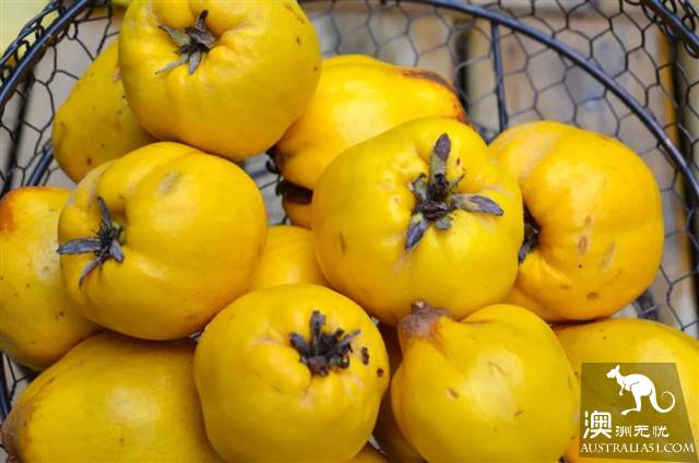 What are the names of vegetables, fish and spices that are often sold in Australian supermarkets? How do you eat it?