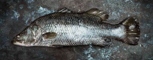What are the names of vegetables, fish and spices that are often sold in Australian supermarkets? How do you eat it?