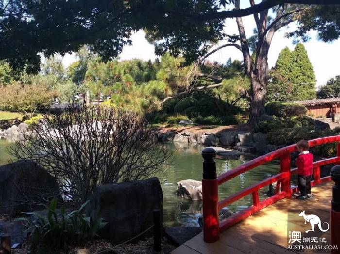 奥本植物园(图片来自网络)