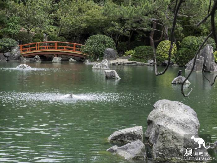 奥本植物园(图片来自网络)