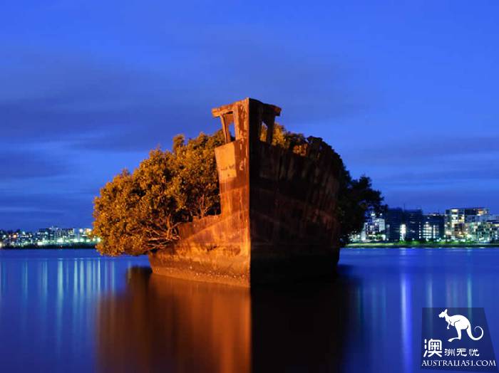 沉船森林(图片来自网络)