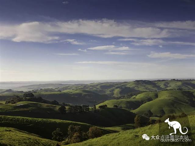 Gypsy Lan, hidden treasure 2 hours from Melbourne: whale watching, truffle, fluorescent sea. Bid farewell to the ordinary tourist regiment completely