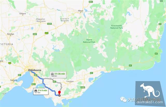 Gypsy Lan, hidden treasure 2 hours from Melbourne: whale watching, truffle, fluorescent sea. Bid farewell to the ordinary tourist regiment completely