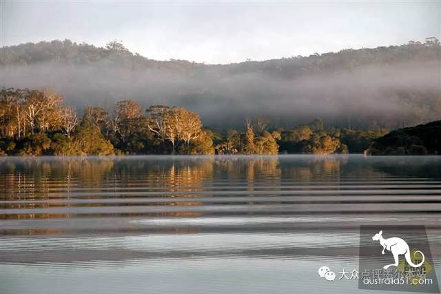Gypsy Lan, hidden treasure 2 hours from Melbourne: whale watching, truffle, fluorescent sea. Bid farewell to the ordinary tourist regiment completely