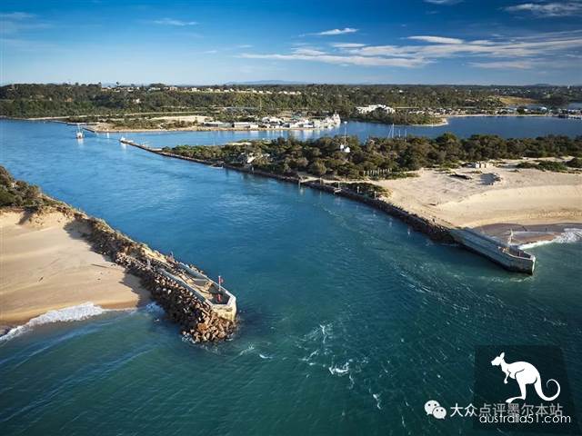 Gypsy Lan, hidden treasure 2 hours from Melbourne: whale watching, truffle, fluorescent sea. Bid farewell to the ordinary tourist regiment completely