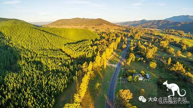Gypsy Lan, hidden treasure 2 hours from Melbourne: whale watching, truffle, fluorescent sea. Bid farewell to the ordinary tourist regiment completely