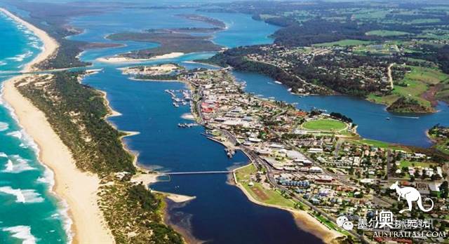 Eat seafood in Melbourne to read this one is enough! Popular science of seafood in the supermarket.