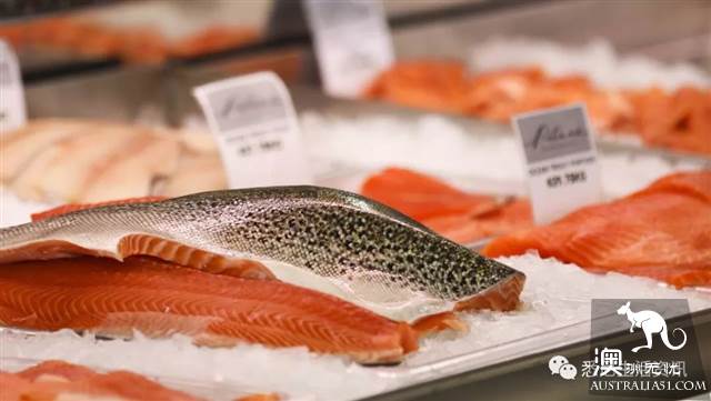 Eat seafood in Melbourne to read this one is enough! Popular science of seafood in the supermarket.