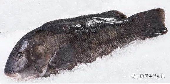 Eat seafood in Melbourne to read this one is enough! Popular science of seafood in the supermarket.