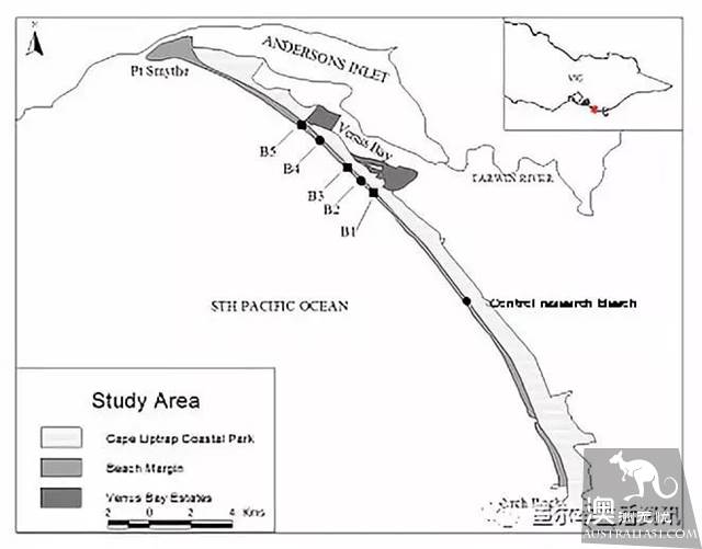 Eat seafood in Melbourne to read this one is enough! Popular science of seafood in the supermarket.