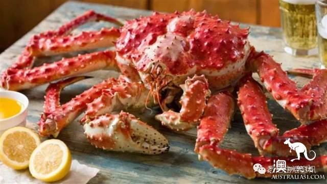 Eat seafood in Melbourne to read this one is enough! Popular science of seafood in the supermarket.