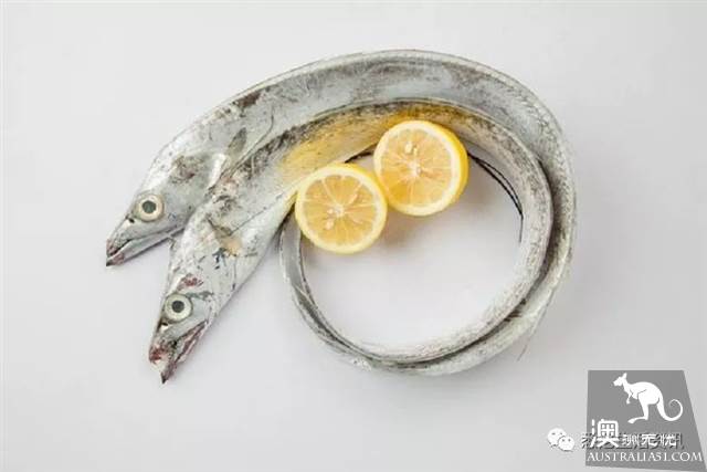 Eat seafood in Melbourne to read this one is enough! Popular science of seafood in the supermarket.