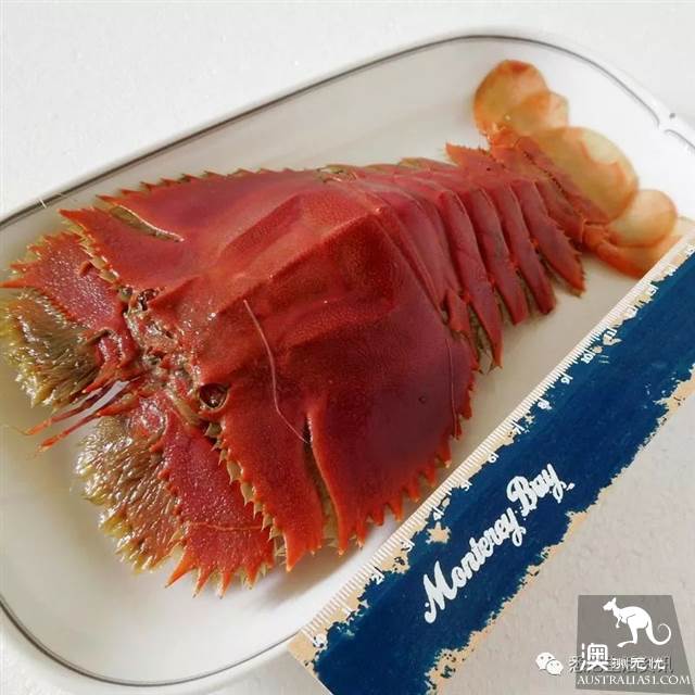 Eat seafood in Melbourne to read this one is enough! Popular science of seafood in the supermarket.