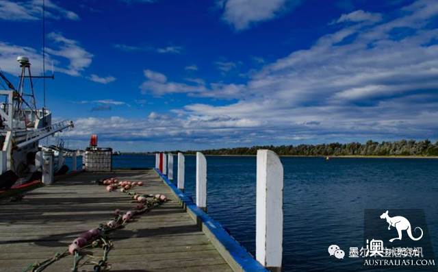 Eat seafood in Melbourne to read this one is enough! Popular science of seafood in the supermarket.