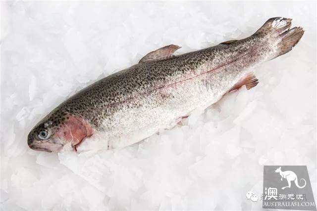 Eat seafood in Melbourne to read this one is enough! Popular science of seafood in the supermarket.