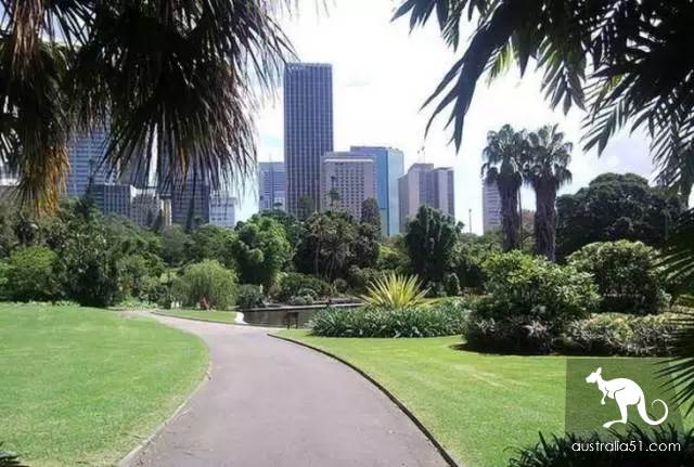 12 excellent running routes in Australia with super moving scenery