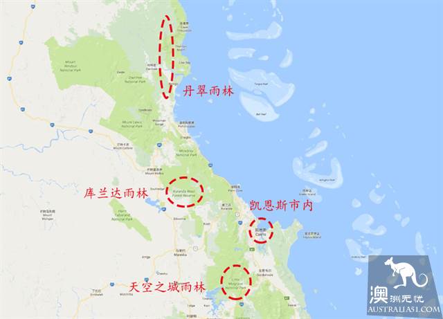 凯恩斯三大热带雨林PK，你投谁一票？