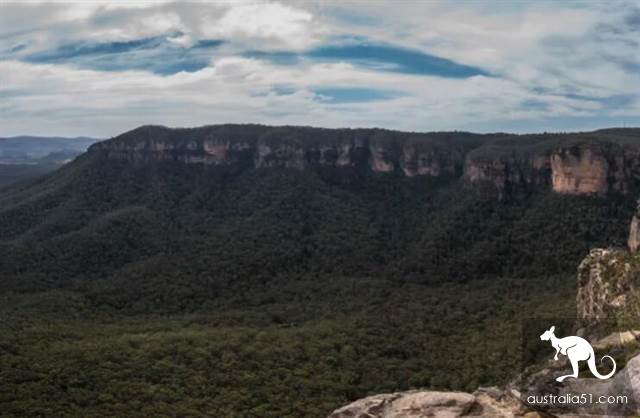 300 hectares of endangered species from the new state of government