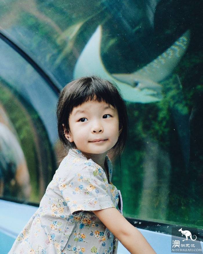 寻宝：悉尼海洋生物水族馆游览杂记