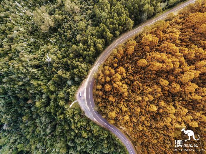 Classic scenery is on the road, 6 Australian classic self-driving lines compete