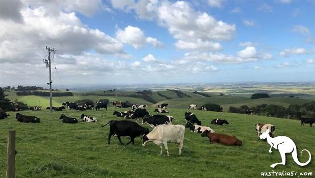 Australian exports of Chinese milk powder hit a new high, the year is likely to be increased tariffs