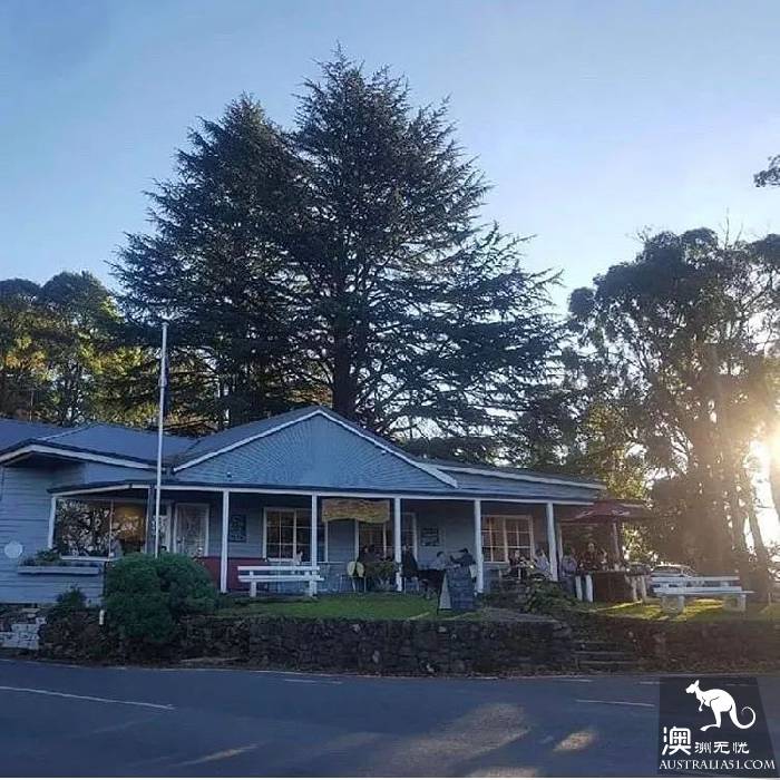 墨尔本Dandenong山区最Local玩法!看完这篇深度攻略,就能跟普通游客路线说拜拜了
