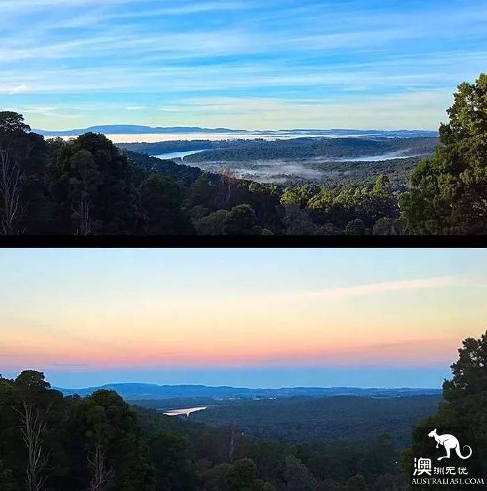 墨尔本Dandenong山区最Local玩法!看完这篇深度攻略,就能跟普通游客路线说拜拜了