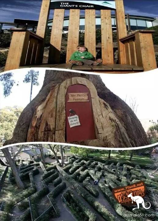 Dendnon (Dandenong) eat, drink and have a whole introduction, and that's enough for Dendnon to eat, drink, play, eat, drink, and have fun.