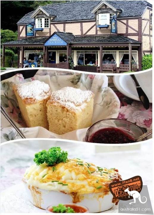 Dendnon (Dandenong) eat, drink and have a whole introduction, and that's enough for Dendnon to eat, drink, play, eat, drink, and have fun.