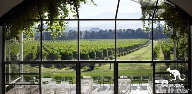 Wine tasting tours to Australia, what are the wineries worth visiting in Australia?