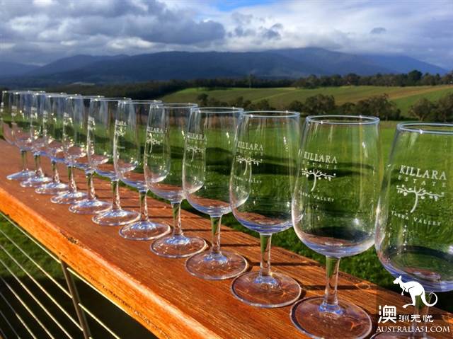 Wine tasting tours to Australia, what are the wineries worth visiting in Australia?