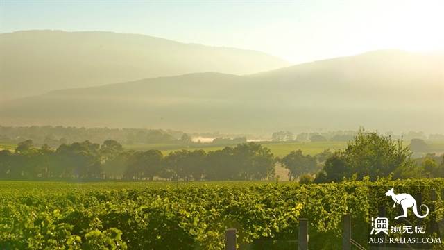 Wine tasting tours to Australia, what are the wineries worth visiting in Australia?