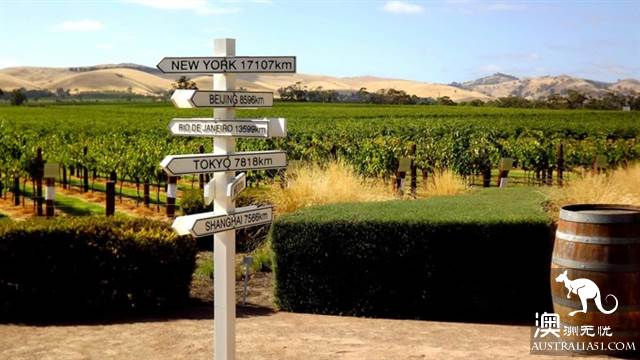 Wine tasting tours to Australia, what are the wineries worth visiting in Australia?