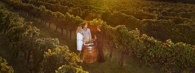Wine tasting tours to Australia, what are the wineries worth visiting in Australia?
