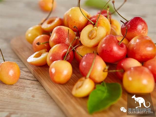 Cherry season is coming! The tour of the six cherry farms around Melbourne is ready.