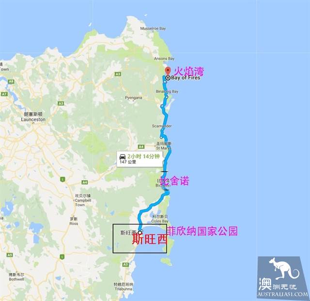 去塔斯马尼亚,围绕这4个中心城镇就能放肆撒欢玩啦