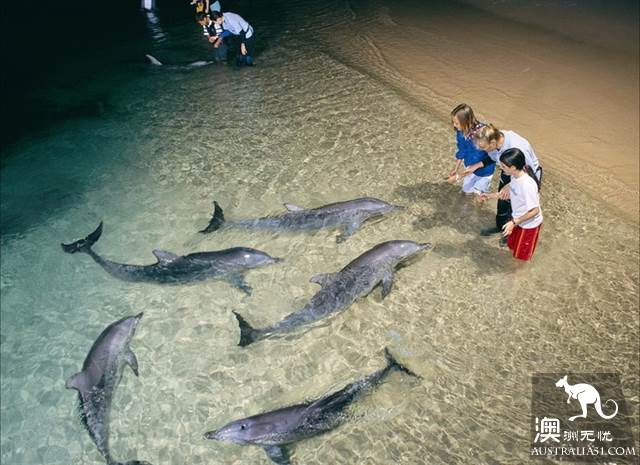 黄金海岸周边三大海岛，超详细对比教你如何选择