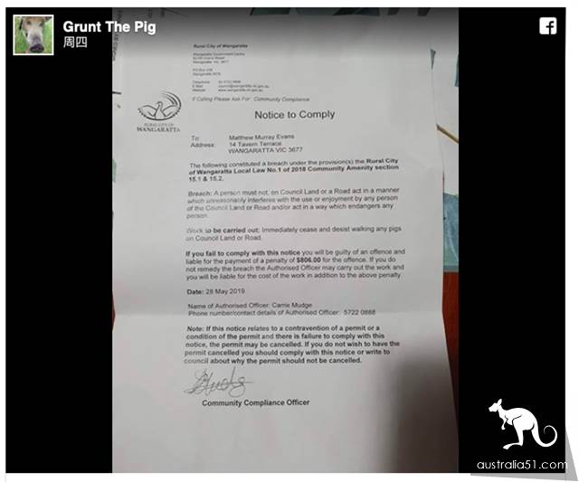 Vivian men are warned to be fined 6 for walking pigs on the street