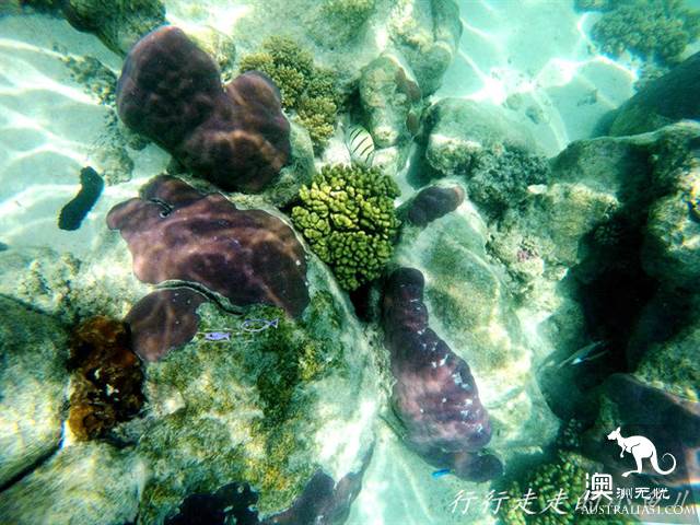西澳的开普岭国家公园（Cape Range National Park）都有哪些好玩的？