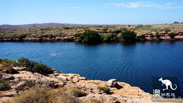西澳的开普岭国家公园（Cape Range National Park）都有哪些好玩的？