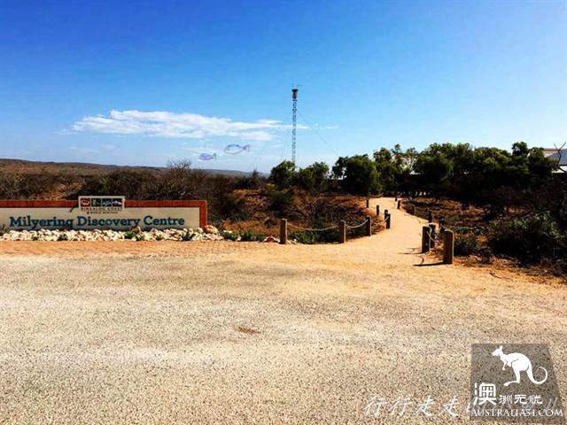 西澳的开普岭国家公园（Cape Range National Park）都有哪些好玩的？