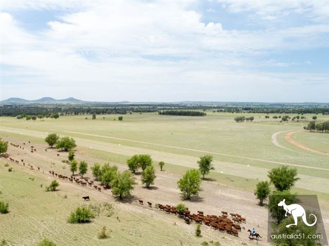 Queensland to build Australia's largest lithium battery pack