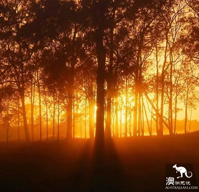 Australia's 6 most beautiful 'road travel' routes, let you play as you walk