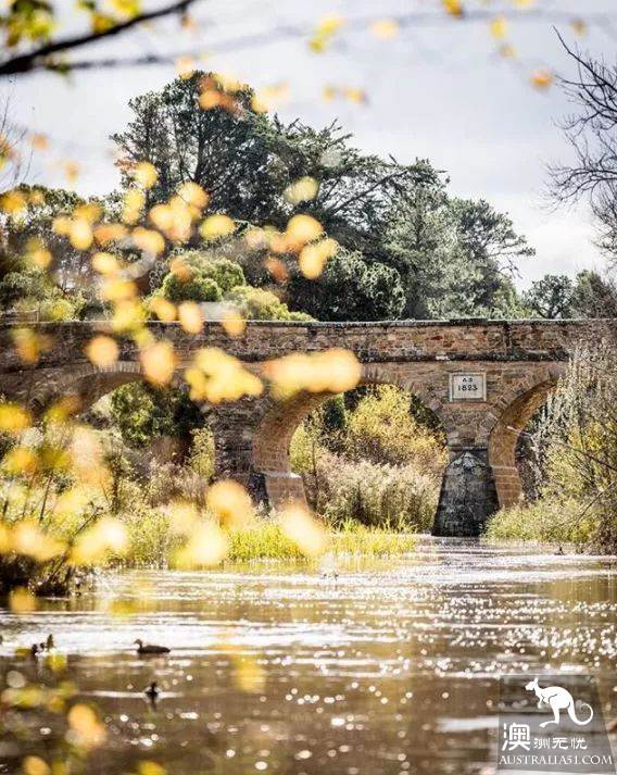 Australia's 6 most beautiful 'road travel' routes, let you play as you walk