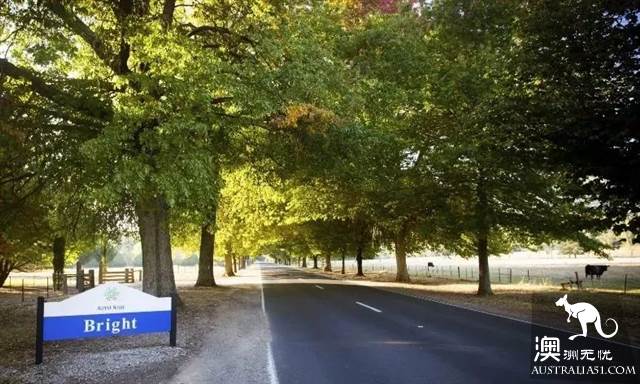 Australia's 6 most beautiful 'road travel' routes, let you play as you walk