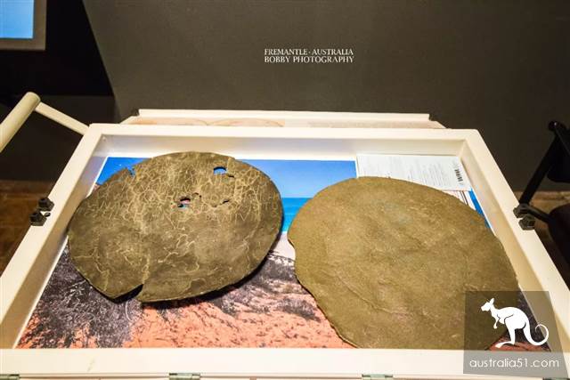 The discovery of Frimantel in Western Australia! Do you know these two museums in Fremantle?