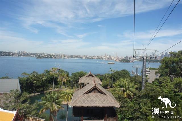 悉尼塔龙加动物园，这里的动物们住着海景房